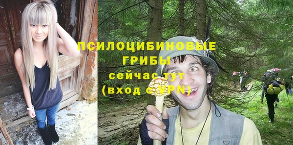 ECSTASY Алексин