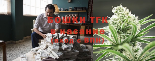 apvp Алзамай