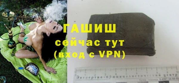 apvp Алзамай