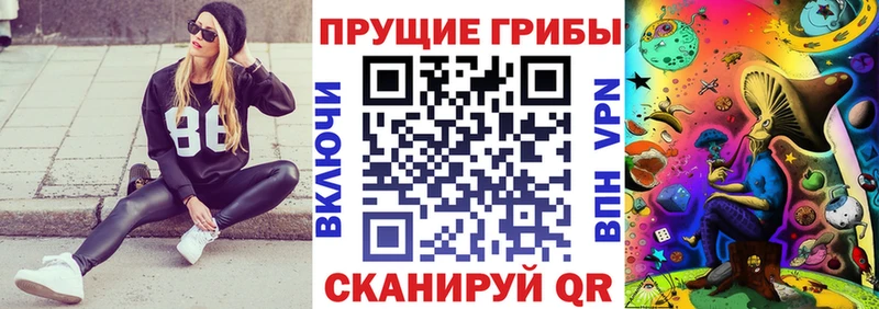Псилоцибиновые грибы ЛСД  купить   Болхов 