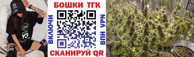 Бошки Шишки MAZAR  Болхов 
